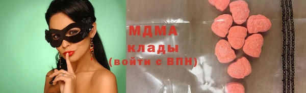 прущие грибы Алзамай