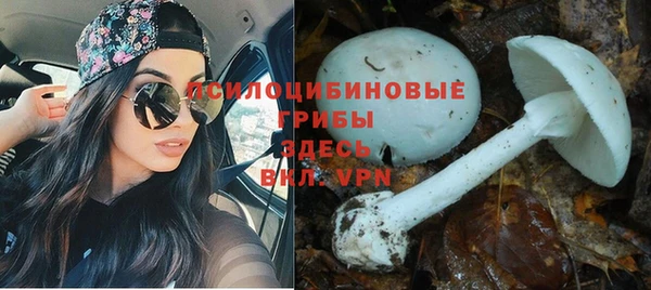 прущая мука Алексин
