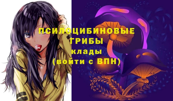 прущие грибы Алзамай