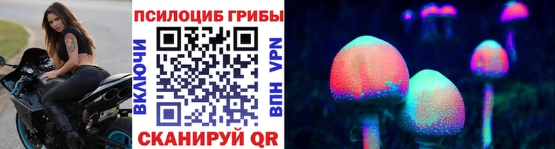 kraken рабочий сайт  Томмот  Галлюциногенные грибы мухоморы 